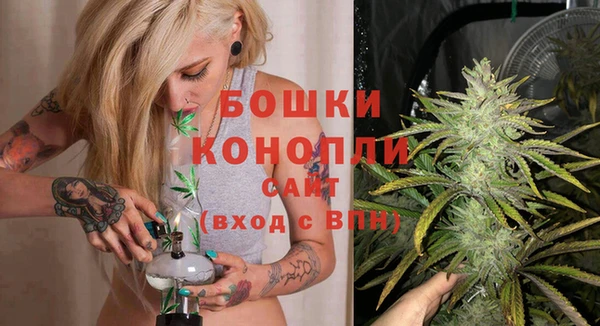 дурь Волосово