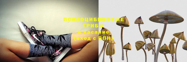 марки lsd Вяземский