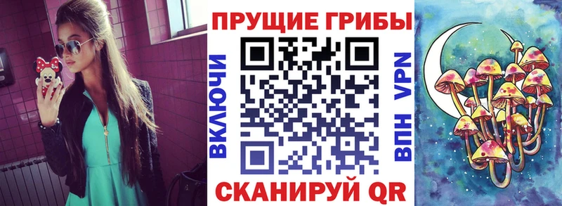 Галлюциногенные грибы прущие грибы  Дмитровск 